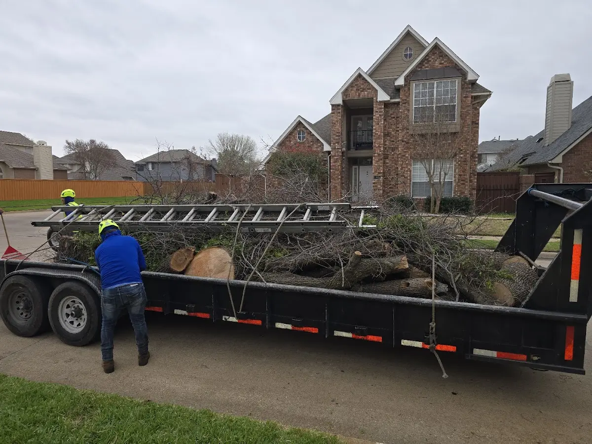 Expert Crown Reduction with proper safety equipment in Calhoun